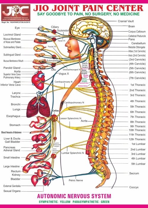 Best doctors for chiropractic treatment in Hyderabad